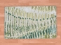 sh75423